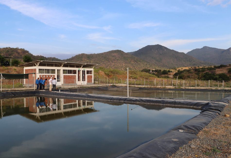 Centro de Producción de Alevines en Suyo (Piura)