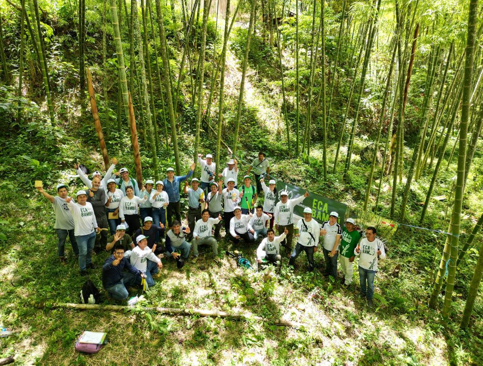 Escuela de campo para agricultores enfocada en el manejo del Bambú
