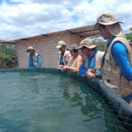 Visita de seguimiento y monitoreo a productores de Tilapia